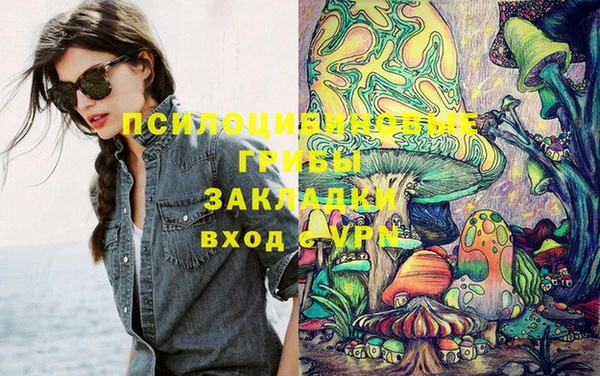 apvp Белоозёрский