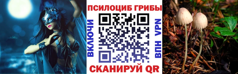 Галлюциногенные грибы мицелий  купить наркотик  Обь 